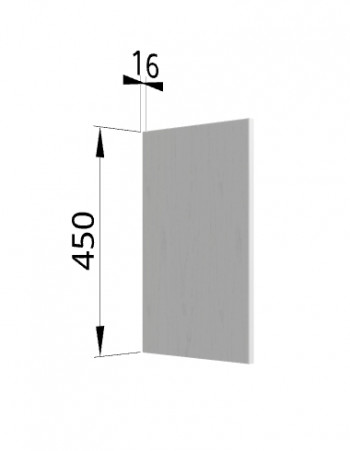 Панель торцевая (для шкафа горизонтального высокого) ВПГ Ройс (Графит софт) в Венгерово - vengerovo.mebel54.com | фото